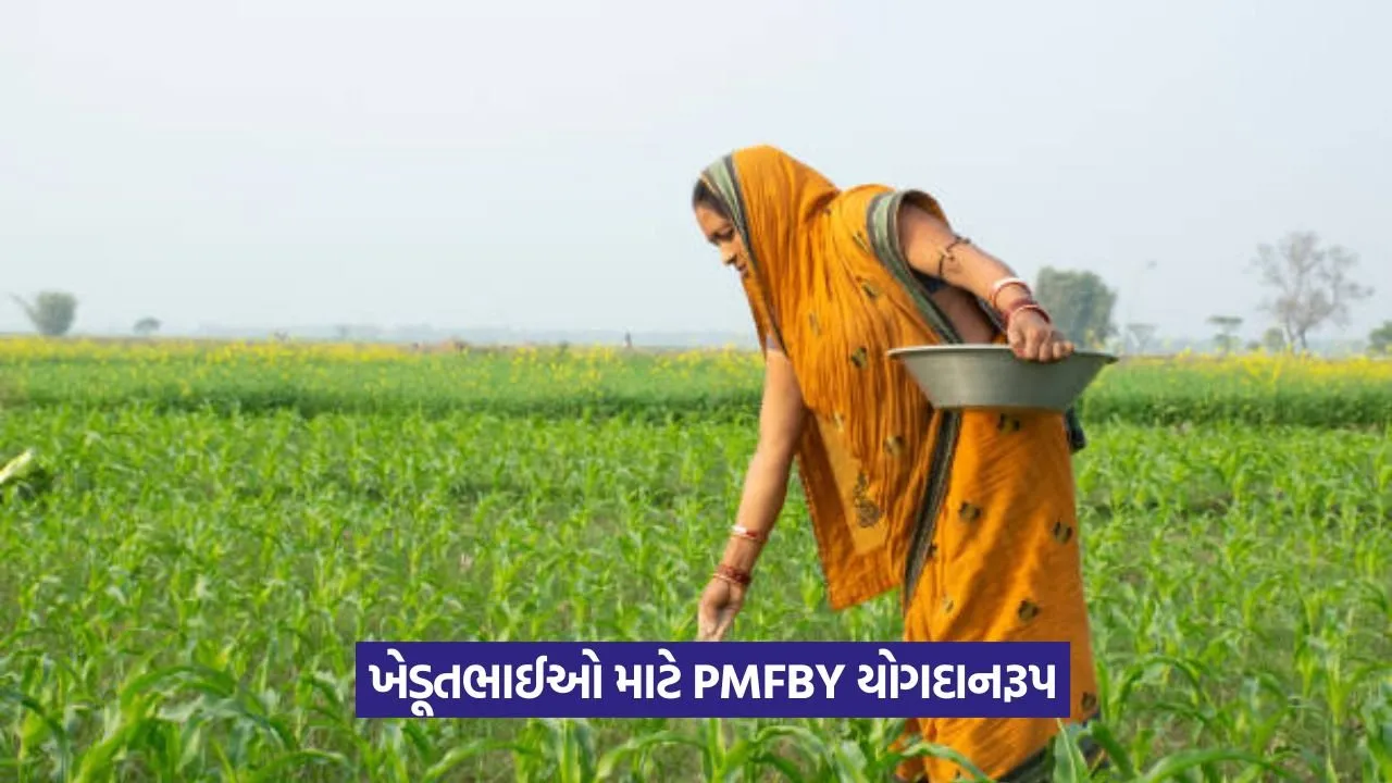 PM Fasal Bima Yojana: વરસાદથી પાક નુકસાન બાદ કેટલું વળતર મળશે? 23 PM Fasal Bima Yojana
