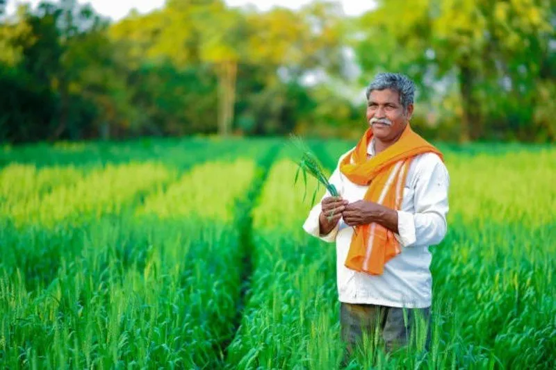 PM Fasal Bima Yojana: વરસાદથી પાક નુકસાન બાદ કેટલું વળતર મળશે? 2 PM Fasal Bima Yojana