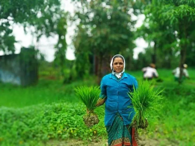 PM Kisan Samman Nidhi Registration