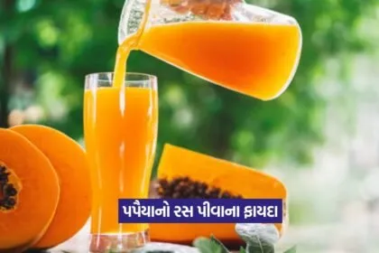 Papaya Juice