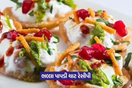 Papdi chaat 2