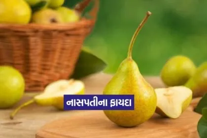 Pear 15