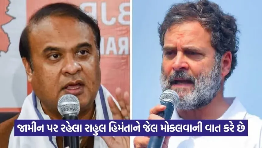 Rahul Gandhi 16