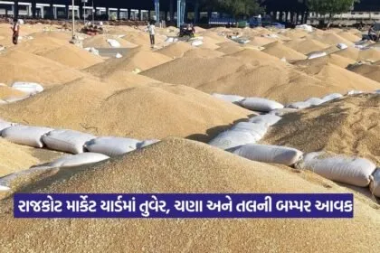 Rajkot Market Yard