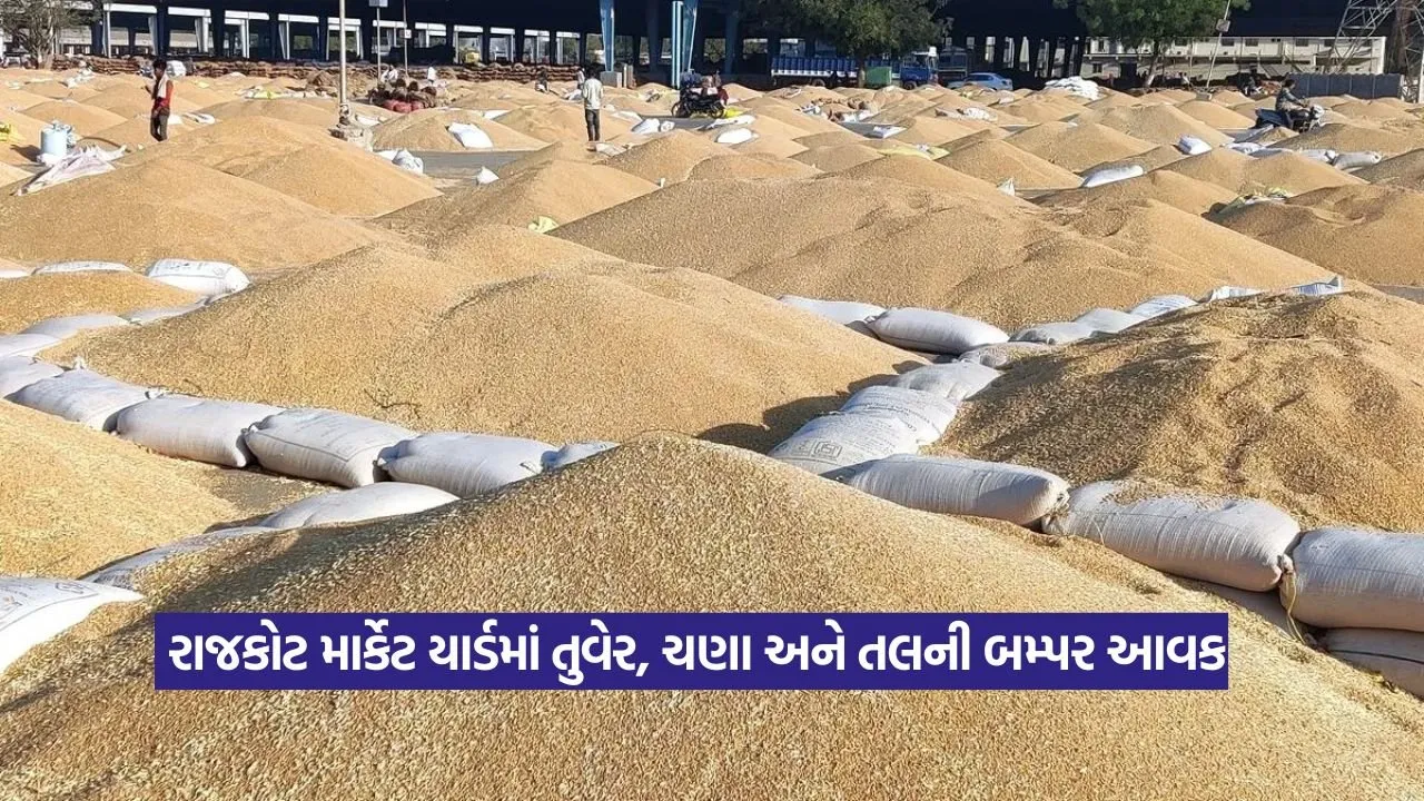 Rajkot Market Yard