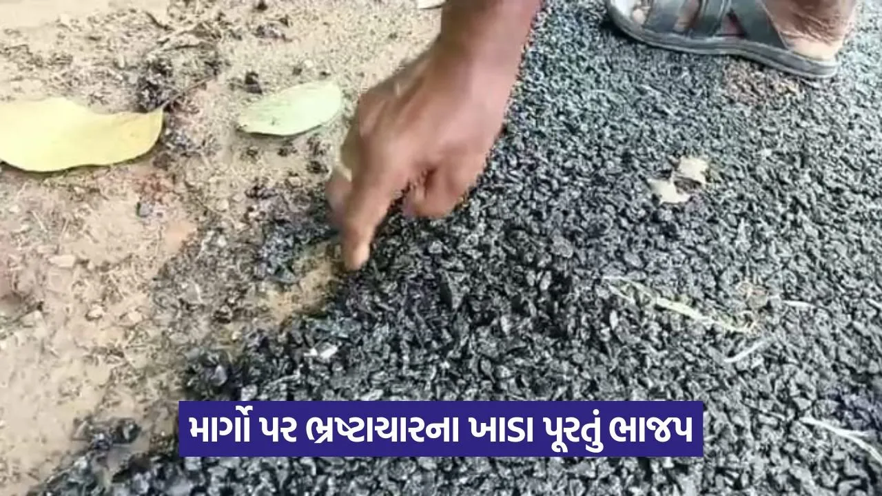 Road Safety Crisis Gujarat: 3 હજાર કિ.મી. રસ્તા ધોવાયા, 16 હજાર ખાડાથી 22 Road .jpg