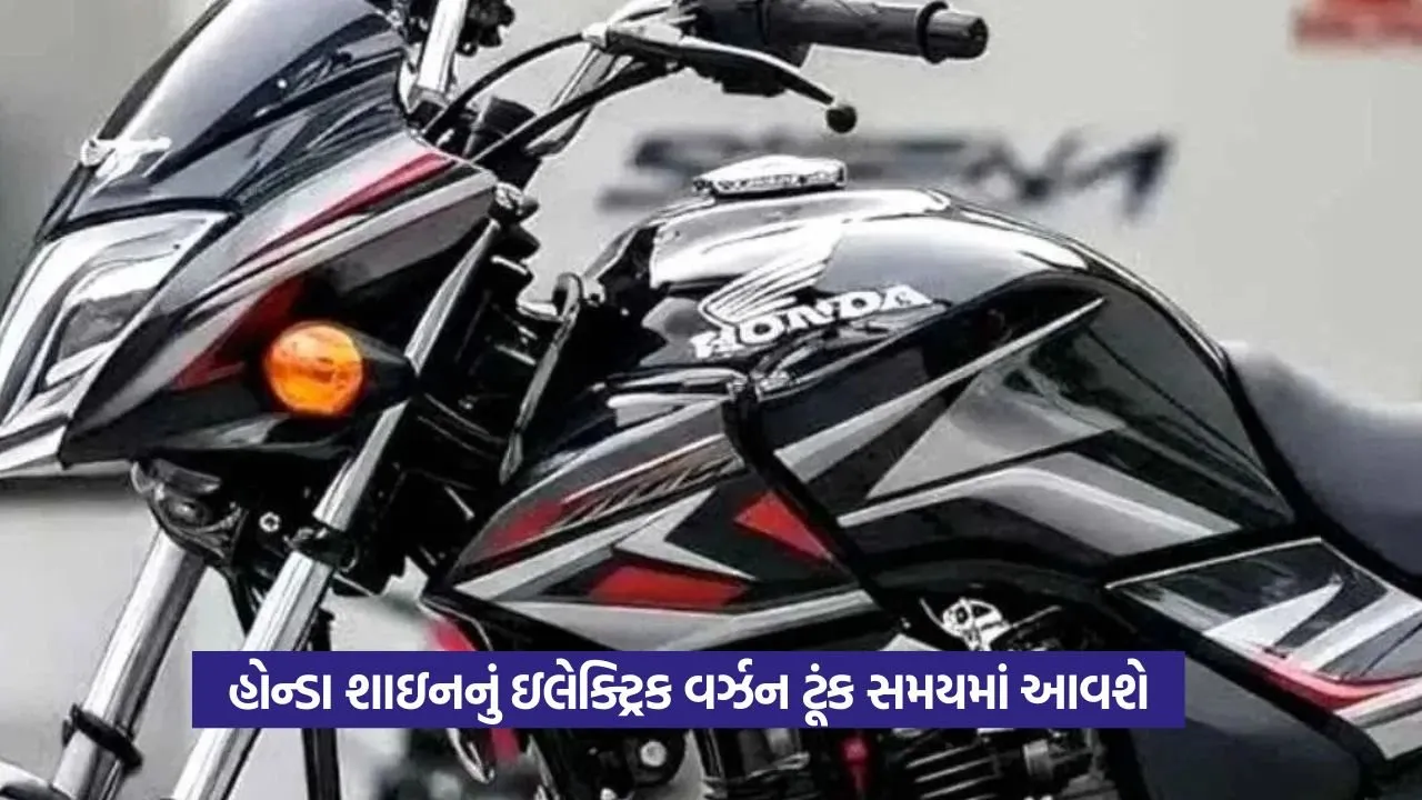 Electric Bike