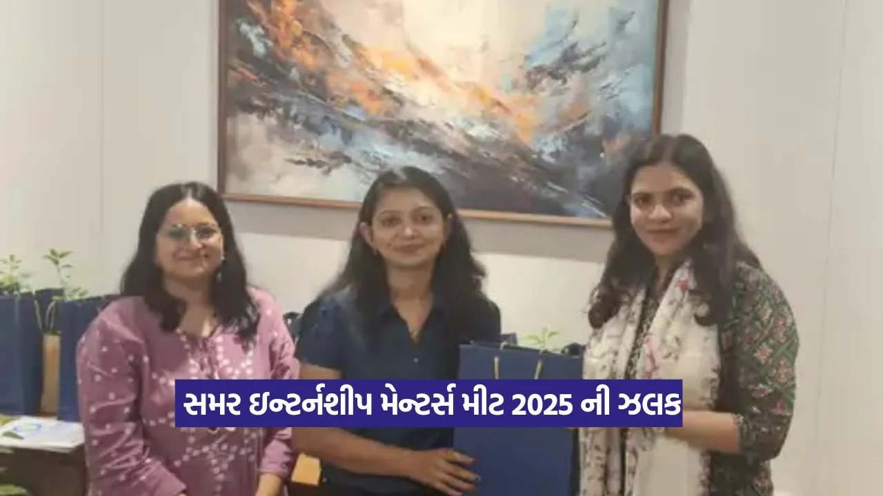 Summer Internship Mentors Meet