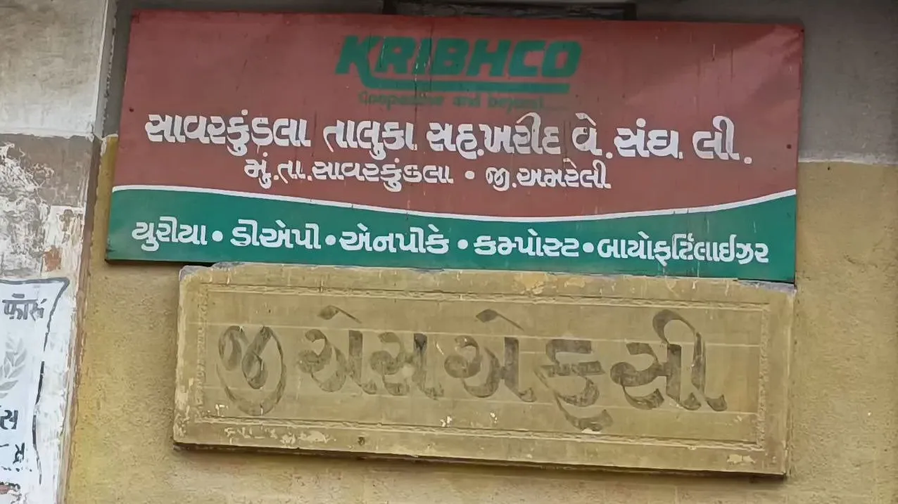 Urea Fertilizer Protest in Savarkundla: યુરિયા ખાતરની અછત વિરુદ્ધ સાવરકુંડલામાં 70 ગામના ખેડૂતોનો ઉગ્ર વિરોધ 3 Urea Fertilizer Protest in Savarkundla