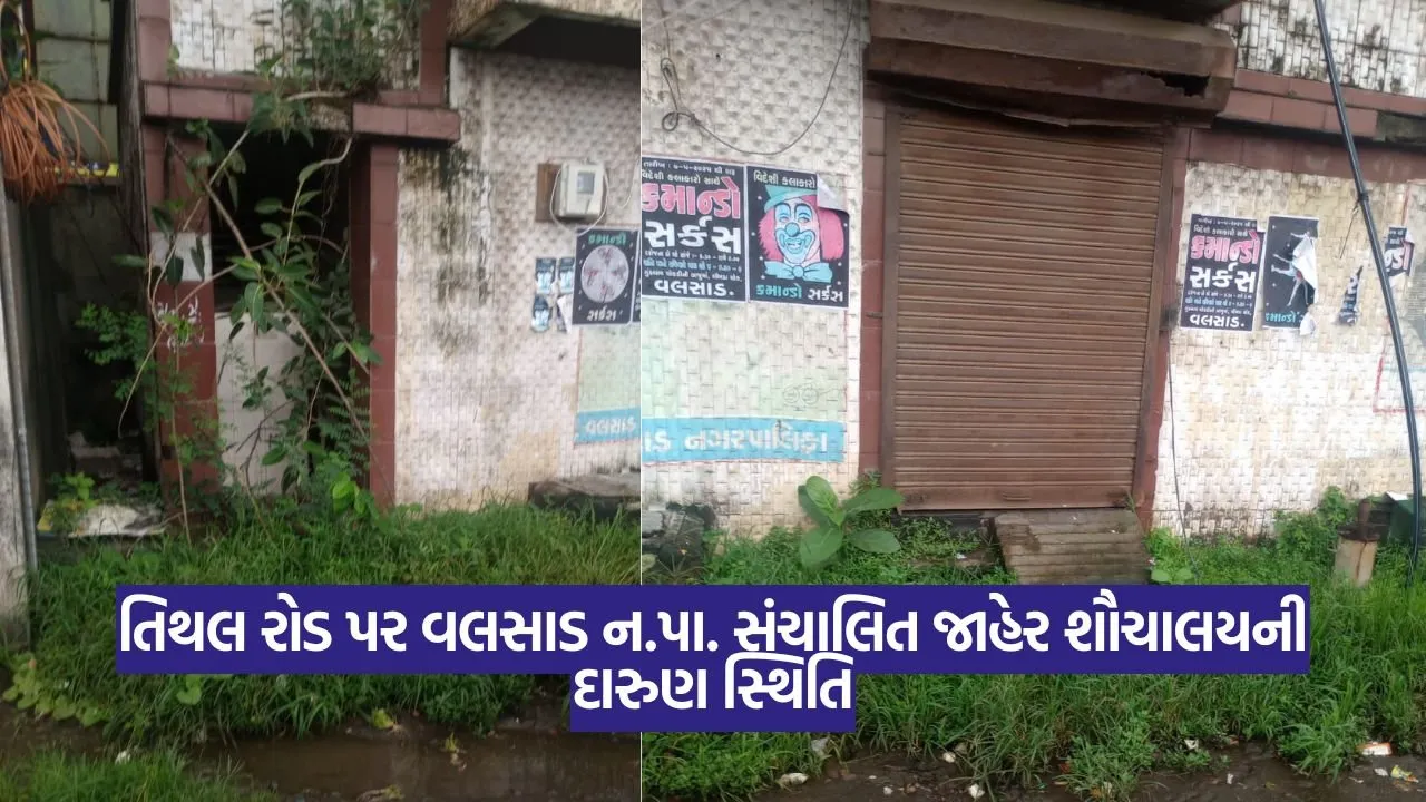 Valsad N.pa main.jpg