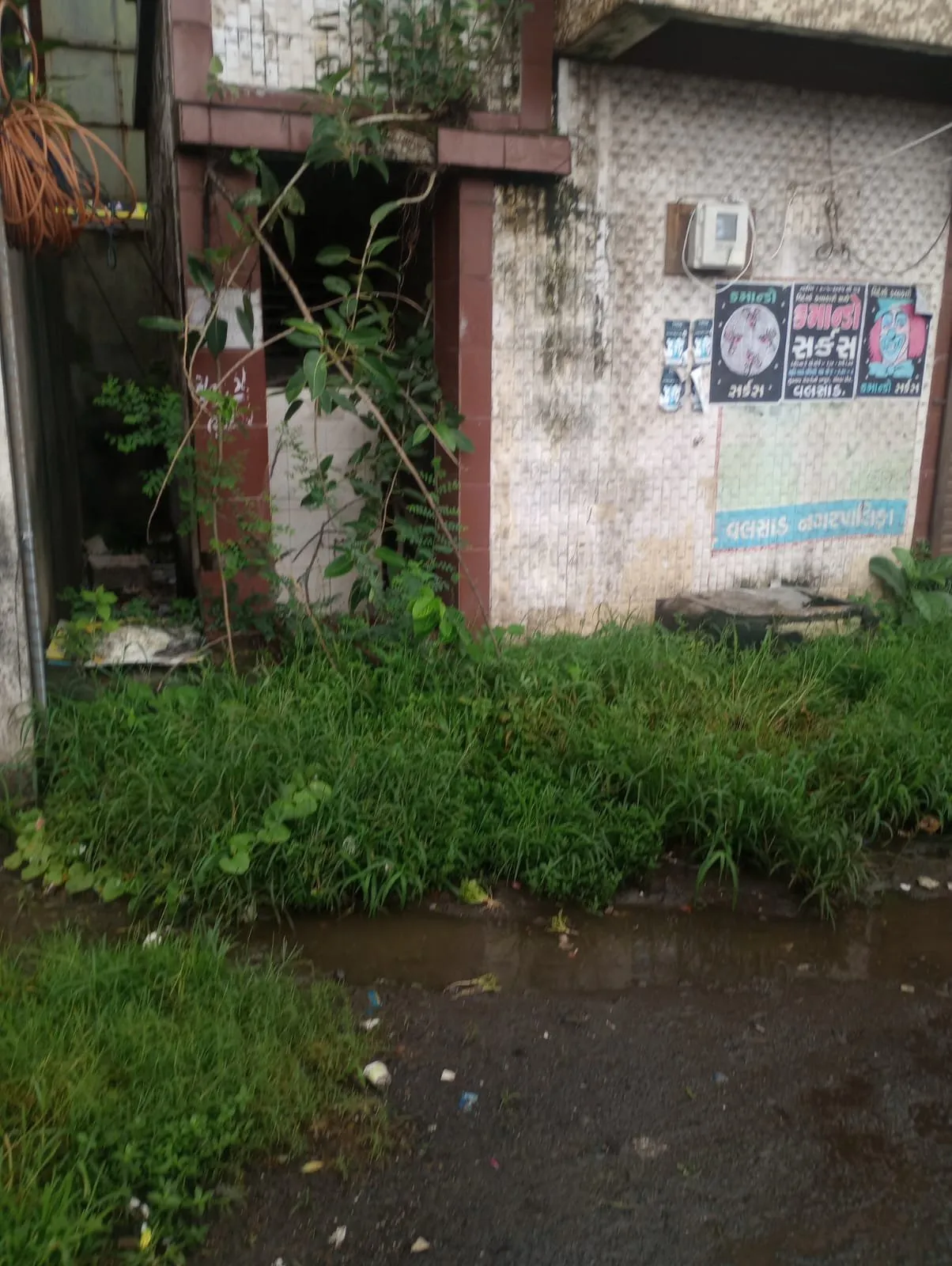 WhatsApp Image 2025 07 14 at 6.02.24 PM.jpeg