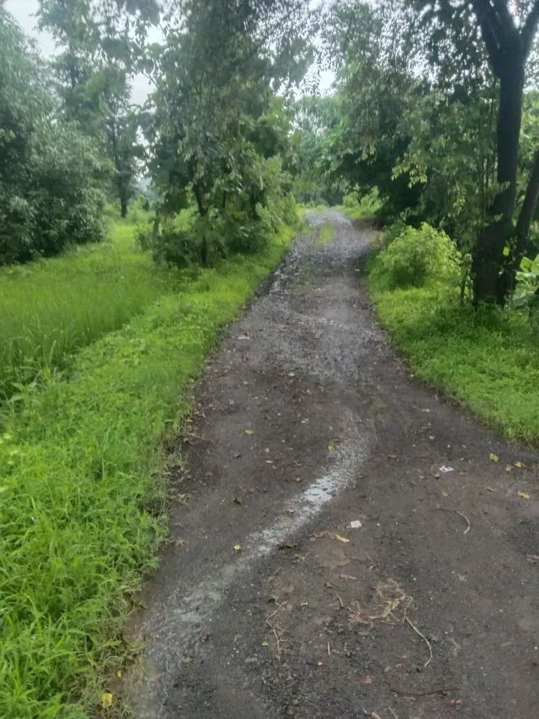 Dharampur: ધરમપુર તાલુકાના વાંસદા જંગલ ગામનું મૂળગામ ફળિયું આઝાદીના ૭૮ વર્ષે પણ પાયાની સુવિધાઓથી વંચિત 3 WhatsApp Image 2025 07 14 at 6.02.39 PM 1.jpeg