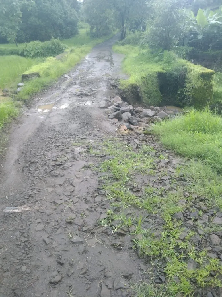 Dharampur: ધરમપુર તાલુકાના વાંસદા જંગલ ગામનું મૂળગામ ફળિયું આઝાદીના ૭૮ વર્ષે પણ પાયાની સુવિધાઓથી વંચિત 2 WhatsApp Image 2025 07 14 at 6.02.39 PM.jpeg