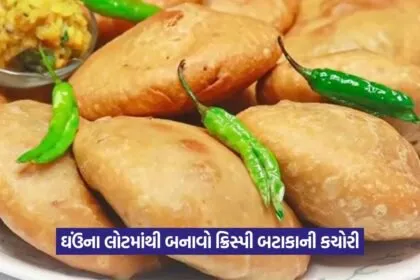 Indian snack recipes