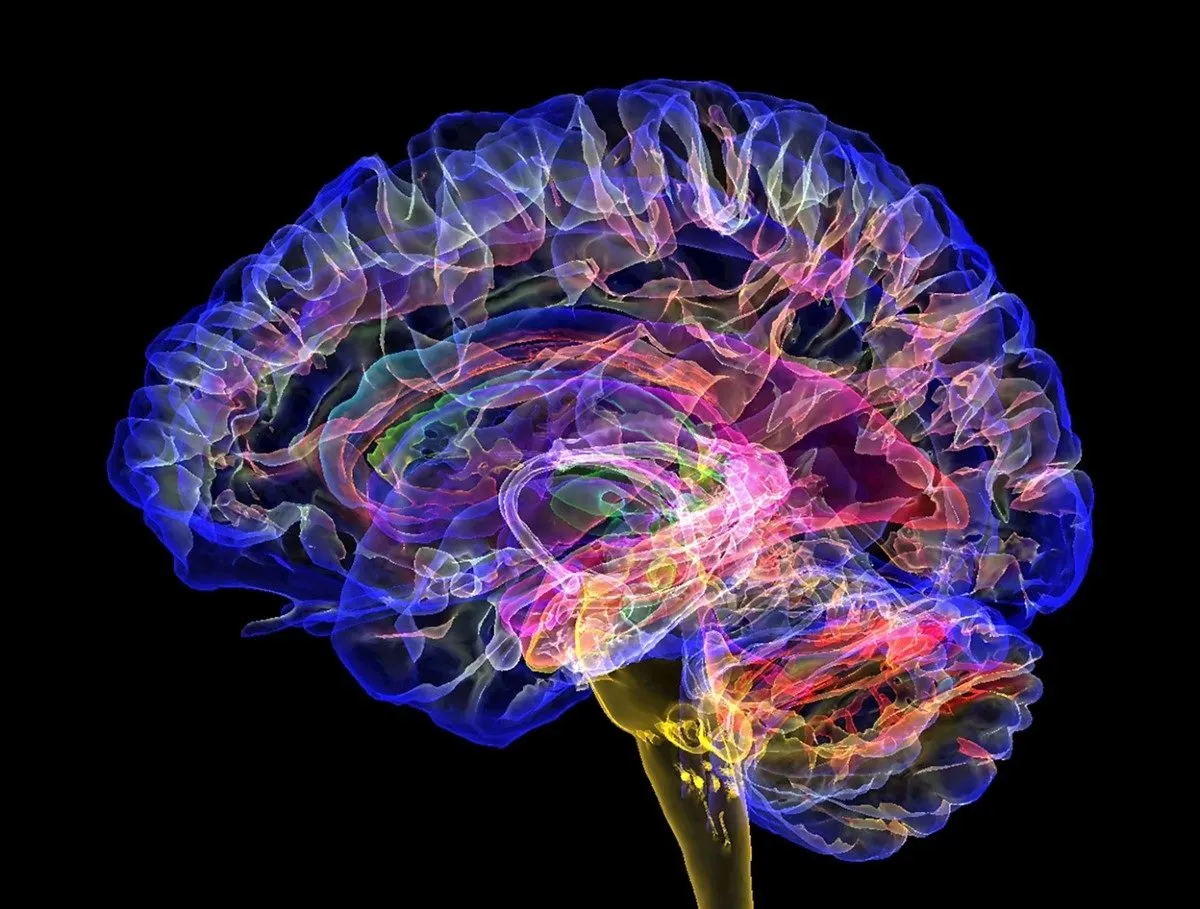 બ્રેઈનના સ્ટ્રોકને અવગણશો નહીં: સમયસર ઓળખીને લકવો અને અન્ય ગંભીર સમસ્યાઓથી બચો 3 brain 11.jpg