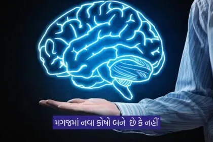 Brain Cells