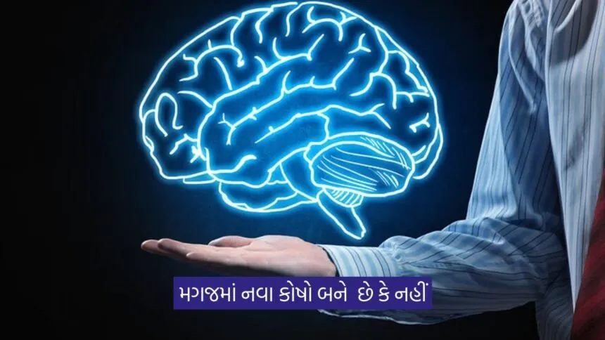 Brain Cells