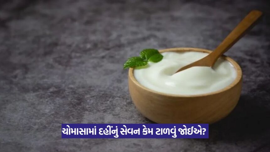 curd 11