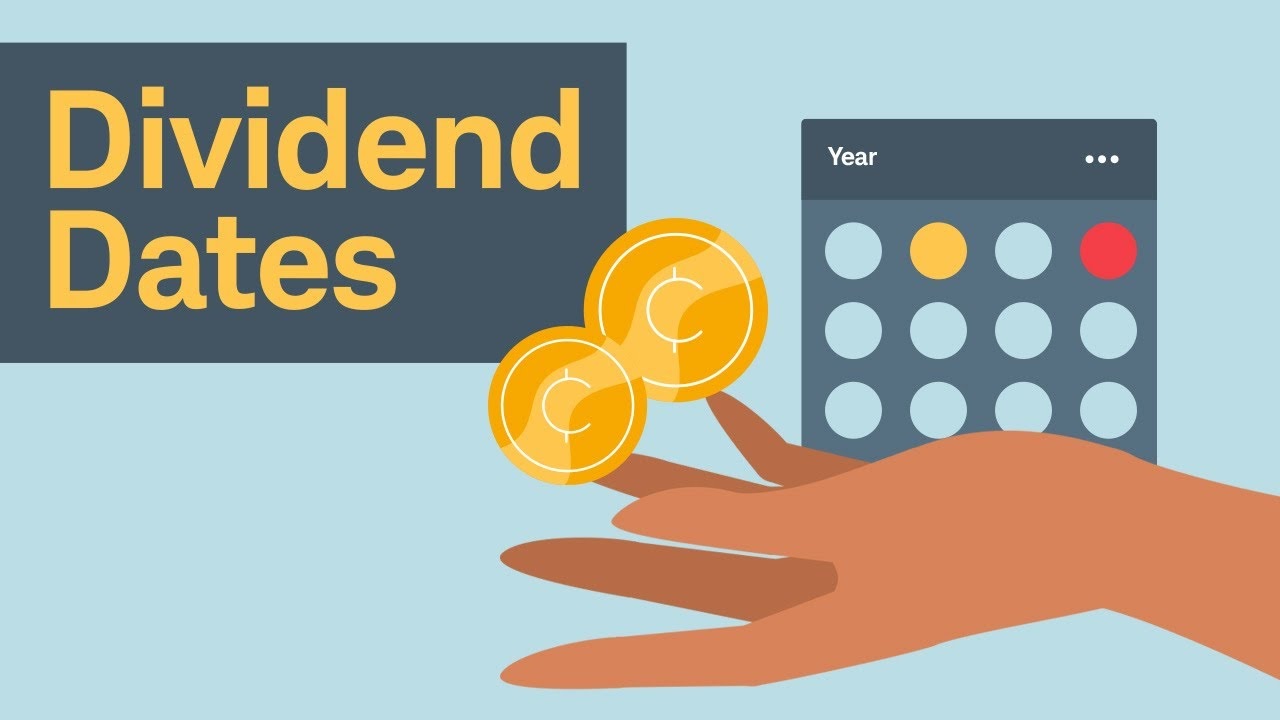 dividend