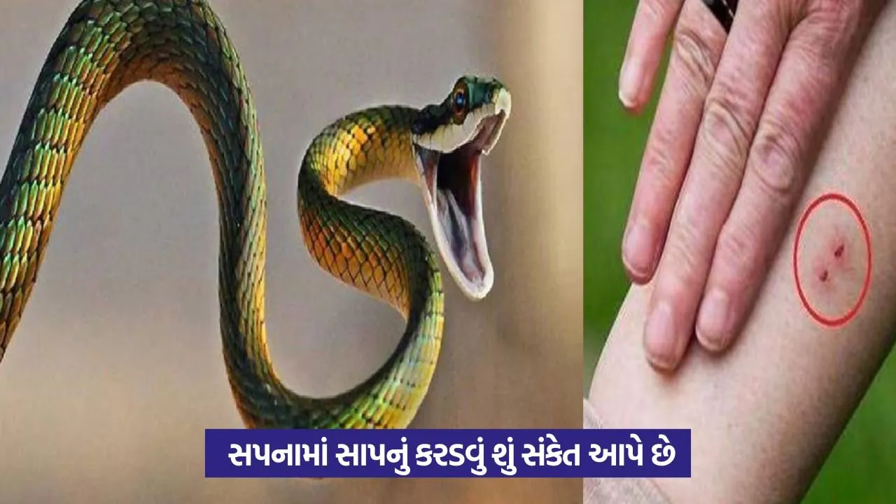 Dream Astrology: સપનામાં સાપનું કરડવું: શું છે તેનો સાચો અર્થ? 24 Dream Astrology