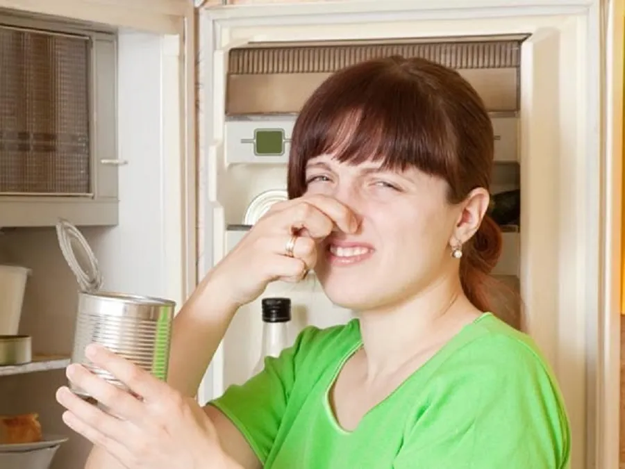 Fridge Tips