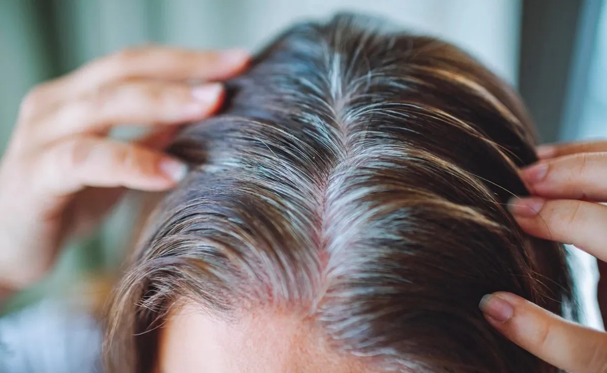 Hair Care