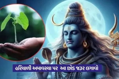 Hariyali Amavasya Upay