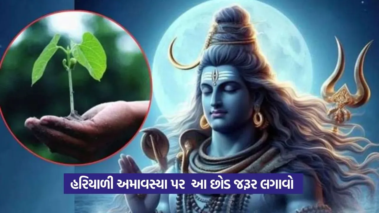 Hariyali Amavasya Upay
