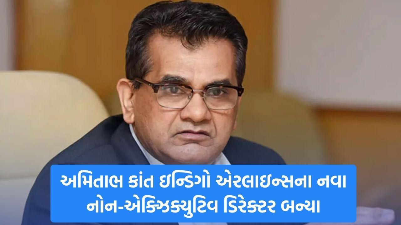Amitabh Kant: ઇન્ડિગોએ નીતિ આયોગના ભૂતપૂર્વ સીઈઓ અમિતાભ કાંતને બોર્ડમાં સામેલ કર્યા 22 indigo