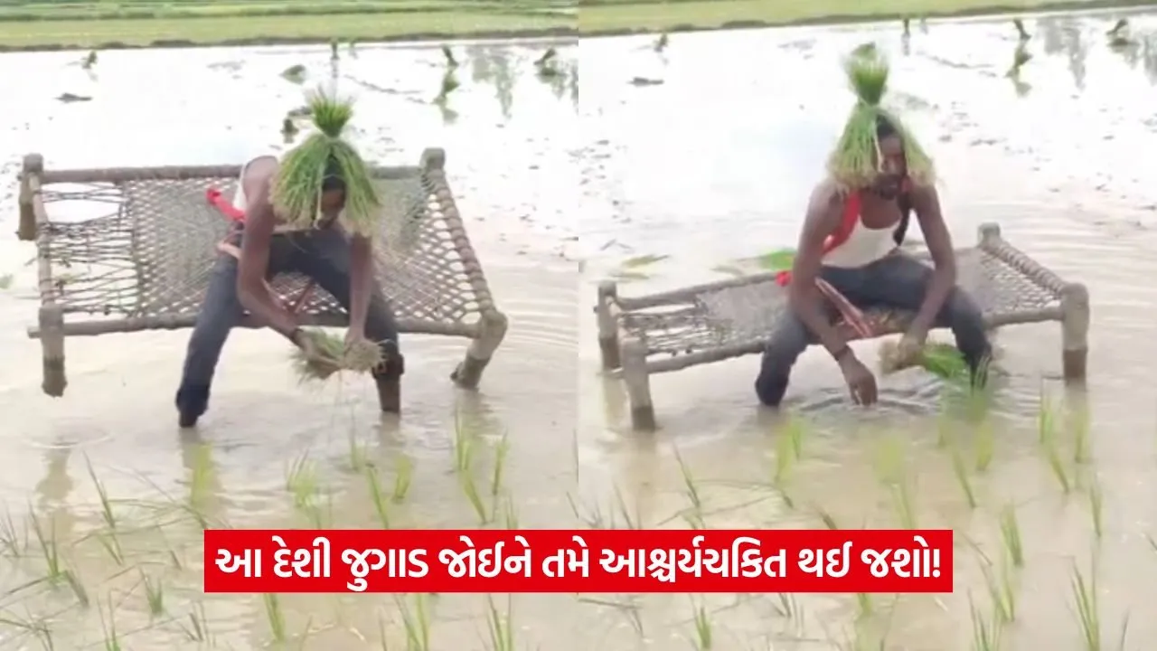 Viral Video: હવે આ 'મહાપુરુષ' કોણ છે? વાયરલ થવા માટે લોકો શું-શું નથી કરતા! 49 Viral Video