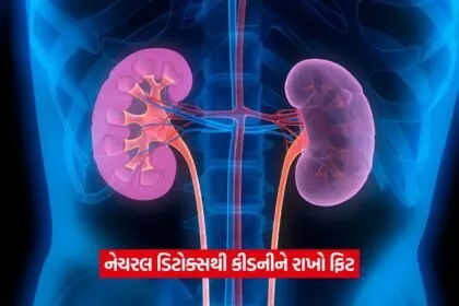 kidney06