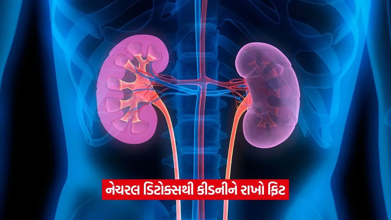 kidney06.jpg
