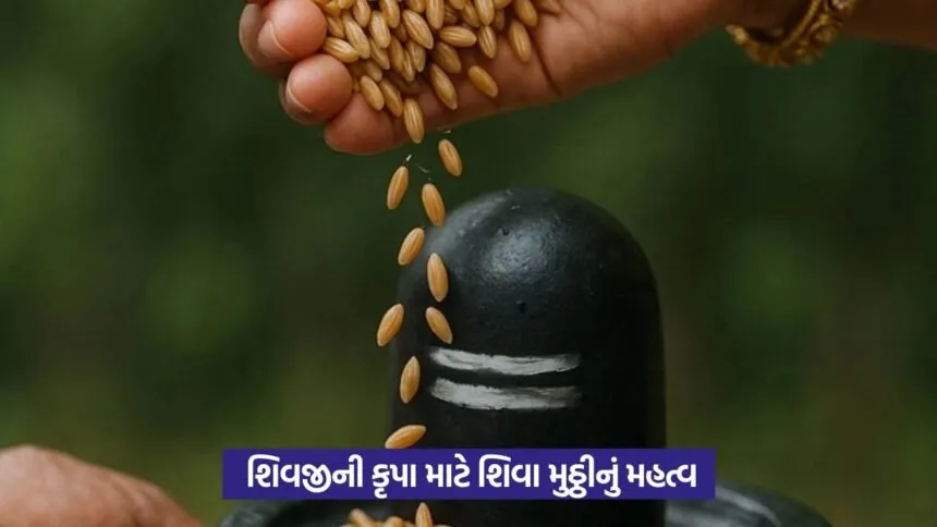 lord shiv8