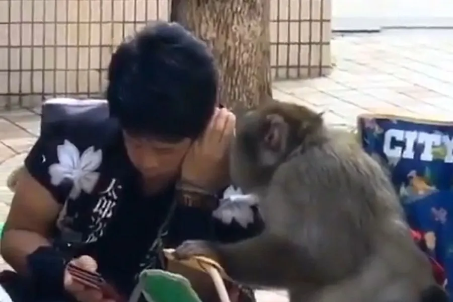 Viral Video: માણસ અને વાંદરાની દોસ્તીએ જીત્યા દિલ! 2 Viral Video