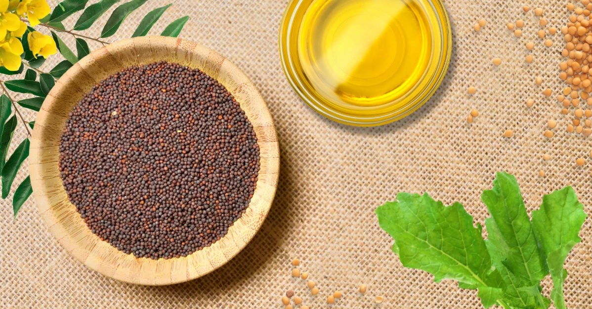 Mustard oil: શિકાગો એક્સચેન્જ બંધ, તેલ બજાર સ્થિર; સરસવ અને મગફળીમાં ચાલ 2 oil 5