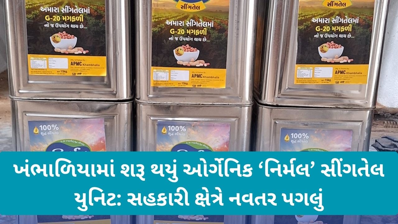 Khambhaliya APMC: ગુજરાતમાં સહકારી ઉદ્યોગને મજબૂત બનાવતી ખંભાળિયાની ‘નિર્મલ’ પહેલ 23 oil