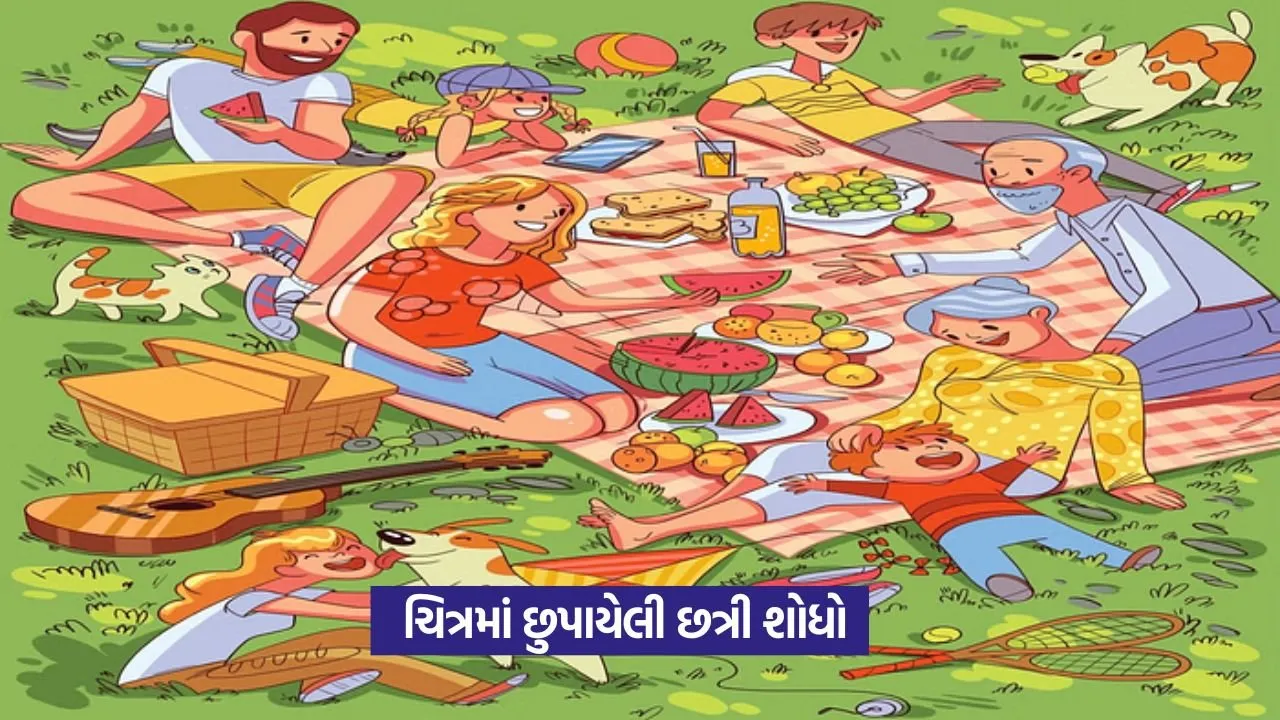 Optical Illusion: શું 15 સેકન્ડમાં છત્રી શોધી શકો છો? 20 Optical Illusion