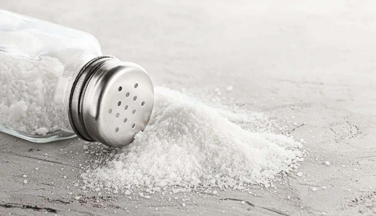 Salt Consumption: મીઠું હૃદય, કિડની અને હાડકાંને કેવી રીતે બગાડે છે? 3 salt.jpg