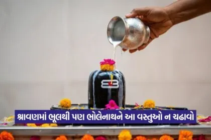 shivling 9