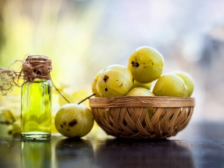 Hair Care: વાળના પોષણ માટે કયું તેલ વધુ અસરકારક? 2 Hair care