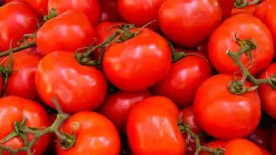 Vegetable Price High: દિલ્હીમાં મોન્સૂન આવતા શાકભાજીના ભાવમાં ઉછાળો, જાણો પાછળનું કારણ 3 Vegetable Price High