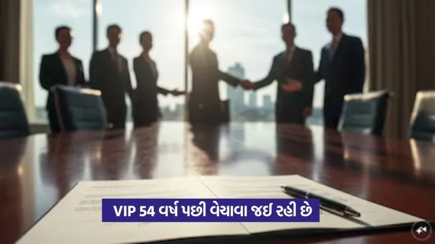 vip company1