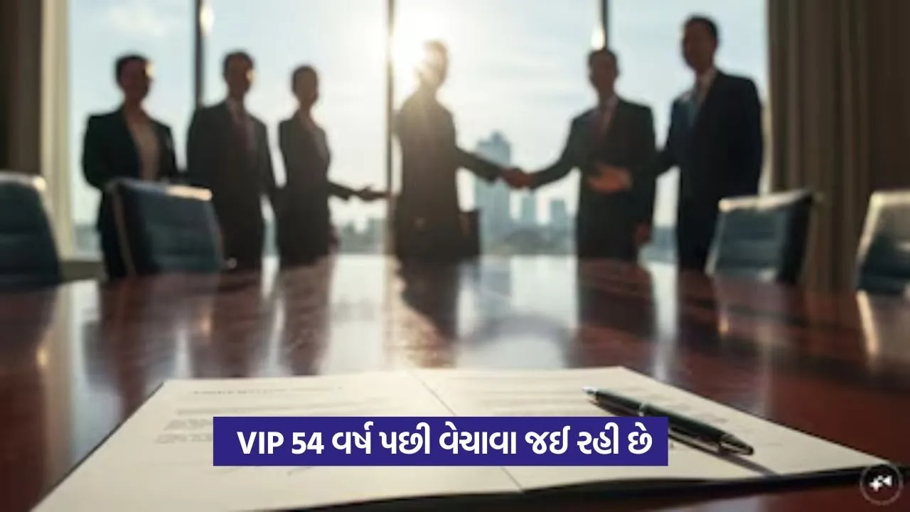 VIP on Sale: વીઆઈપી ઇન્ડસ્ટ્રીઝ ૫૪ વર્ષ પછી વેચાવા જઈ રહી છે 18 vip company1.jpg
