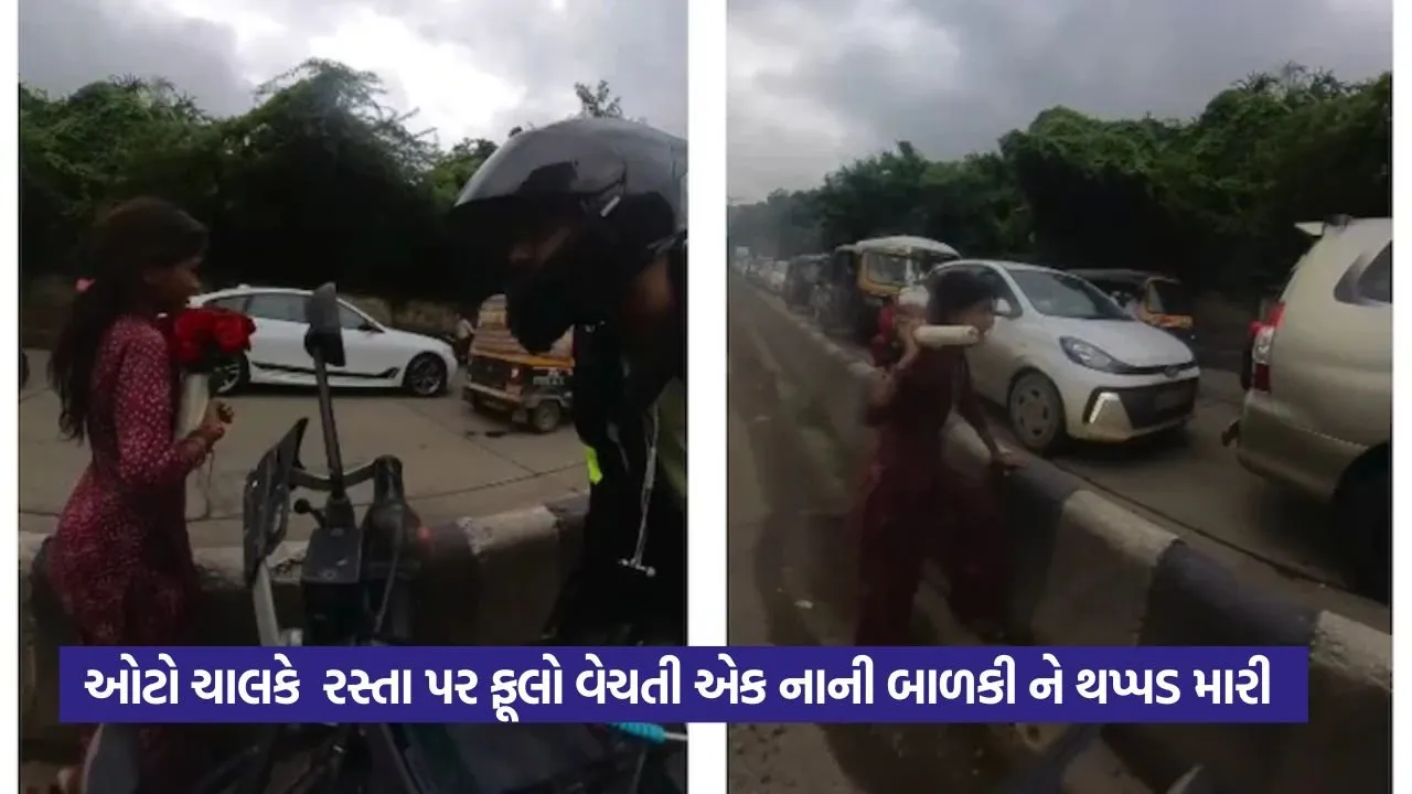 Viral Video: નાની બાળકી પર થપ્પડના કારણે વિવાદ, લોકોએ ડ્રાઈવરને ફટકાર્યો 22 viral video 33.jpg