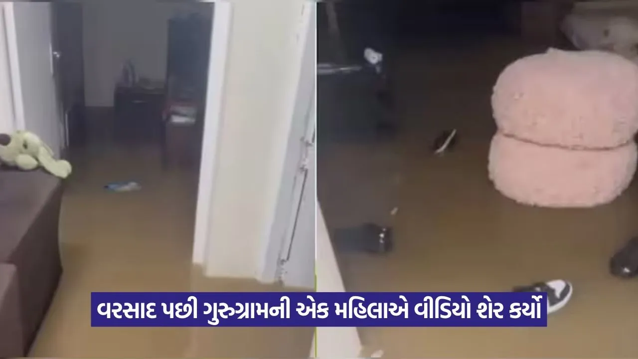 Viral Video