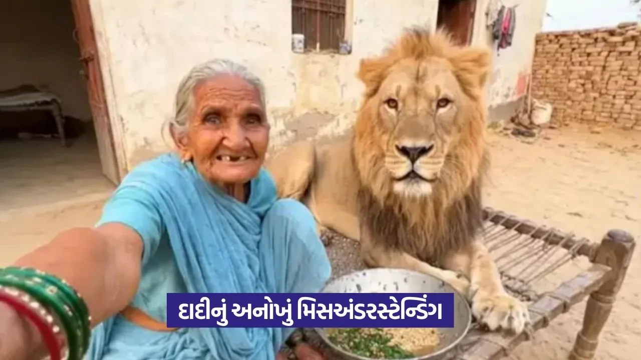 AI Dadi Video: દાદીએ સિંહને ભેંસ સમજી મચાવ્યો હંગામો 27 AI Dadi Video