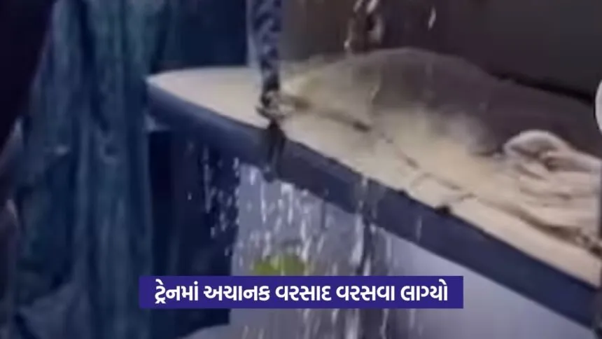 Viral Video