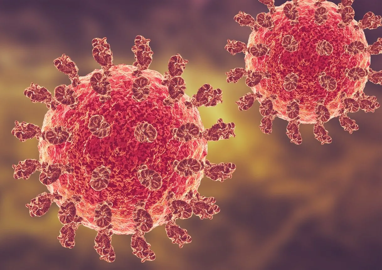 શું H3N2 વાયરસ સામાન્ય ફ્લૂથી અલગ છે? 2 virus 11.jpg