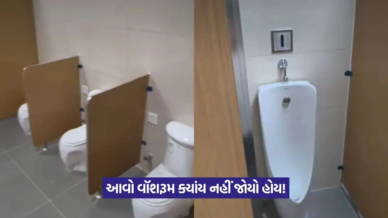 Viral Video: દુનિયાનો સૌથી કન્ફ્યૂઝિંગ વોશરૂમ – જુઓ વાયરલ વીડિયોમાં શું છે ખાસ? 23 Viral Video
