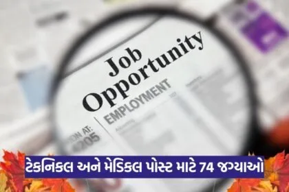 Job 2025